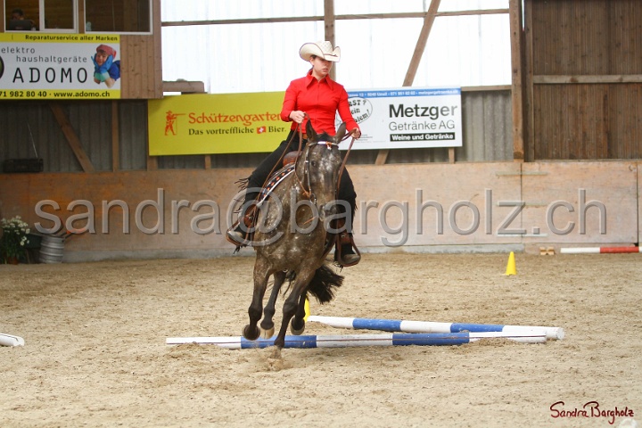 26-ApHC GT_166.jpg